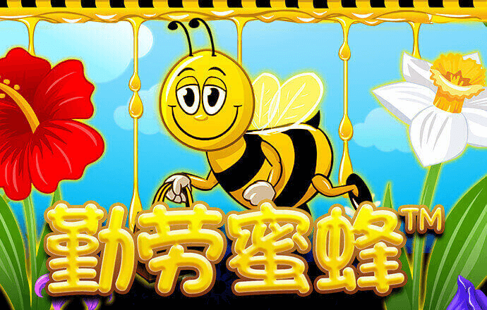 澳门彩四肖八码期期准下载