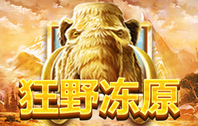 k体育官网入口登录